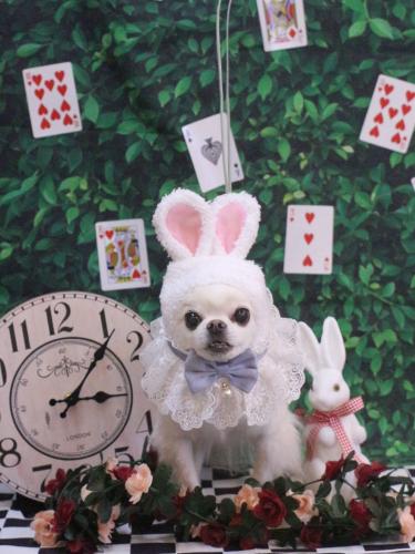 20250409りゅうくん